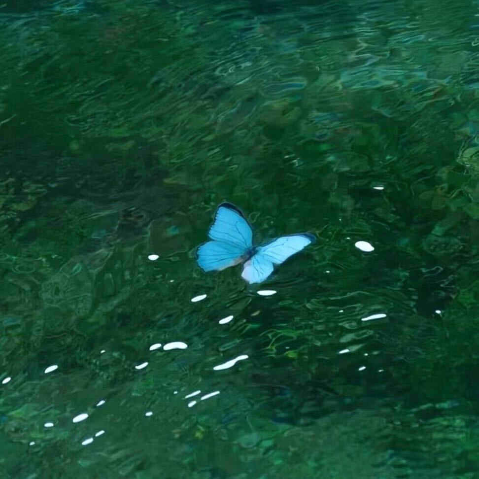 树
