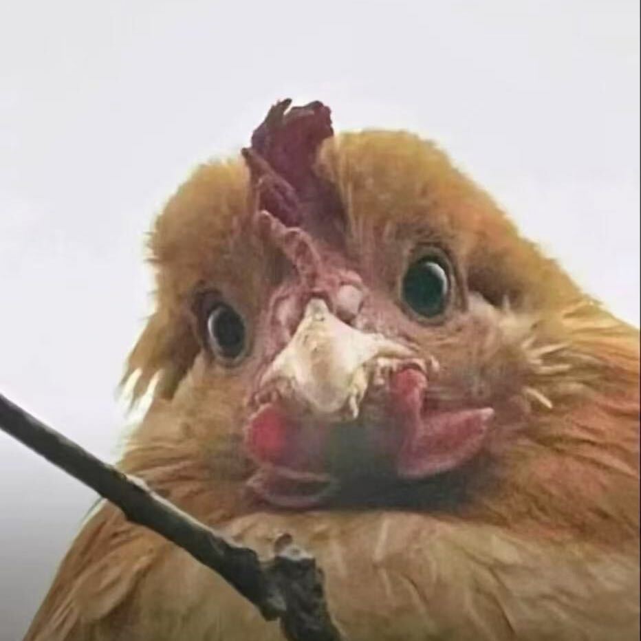 脑瘫收容所张所长（包接送）