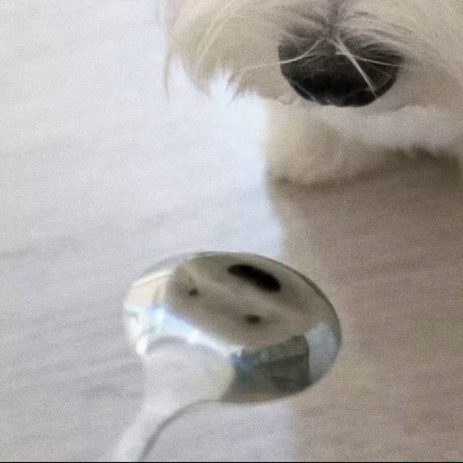 ·Y·