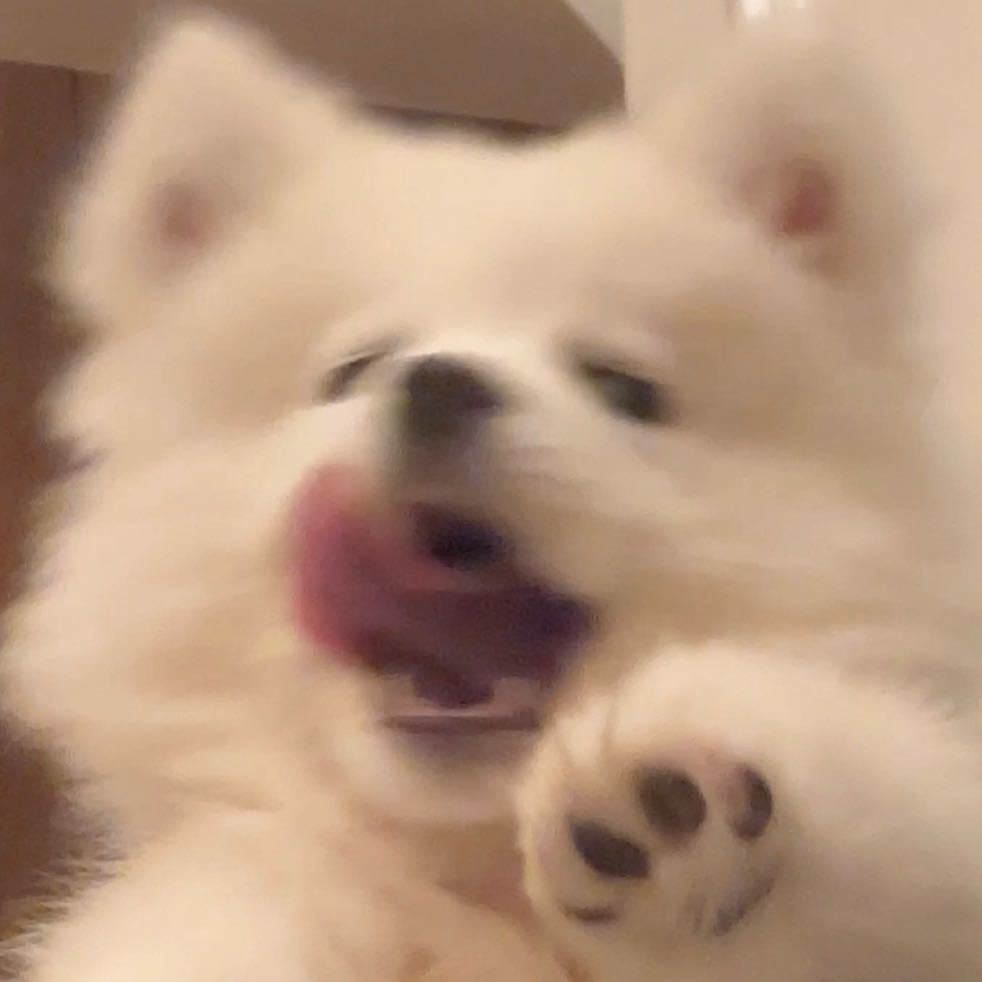 十.