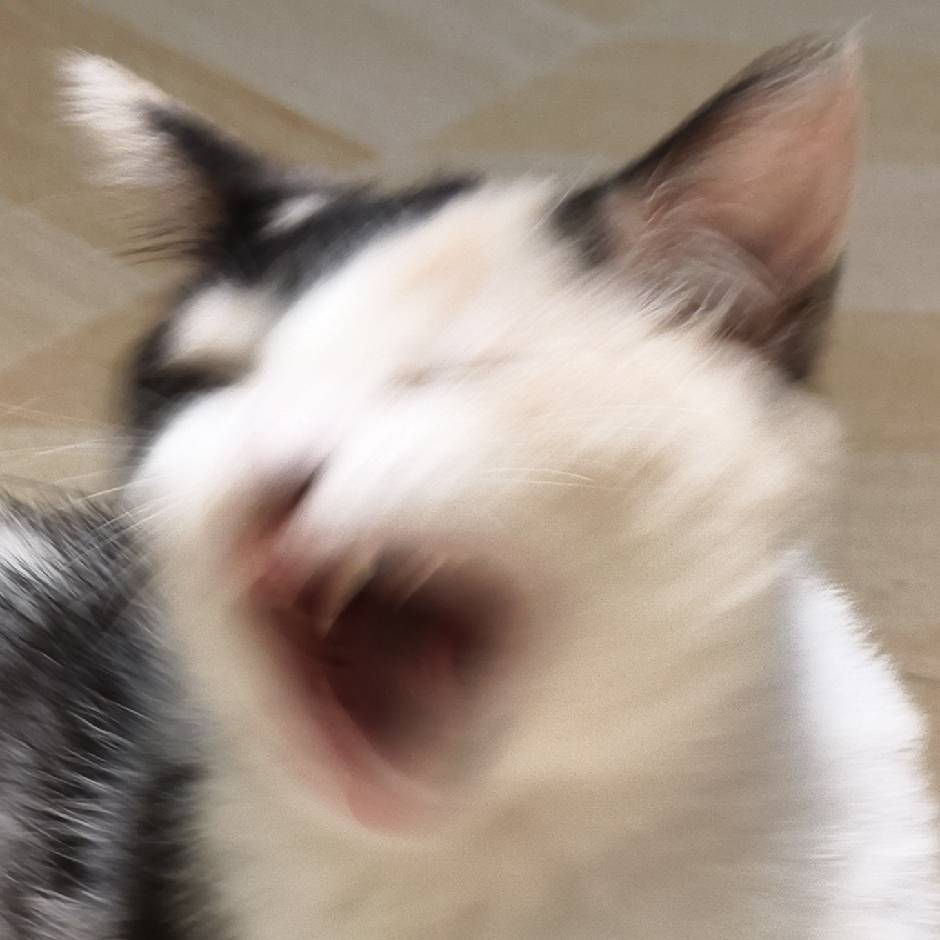 仔仔🥛 牛奶