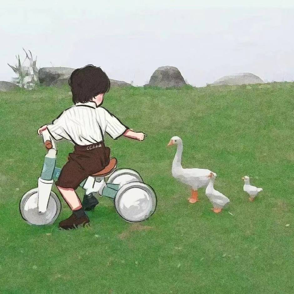 無解