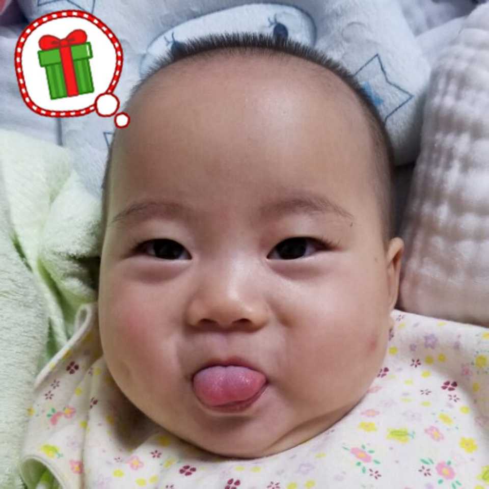 小猪崽放养员