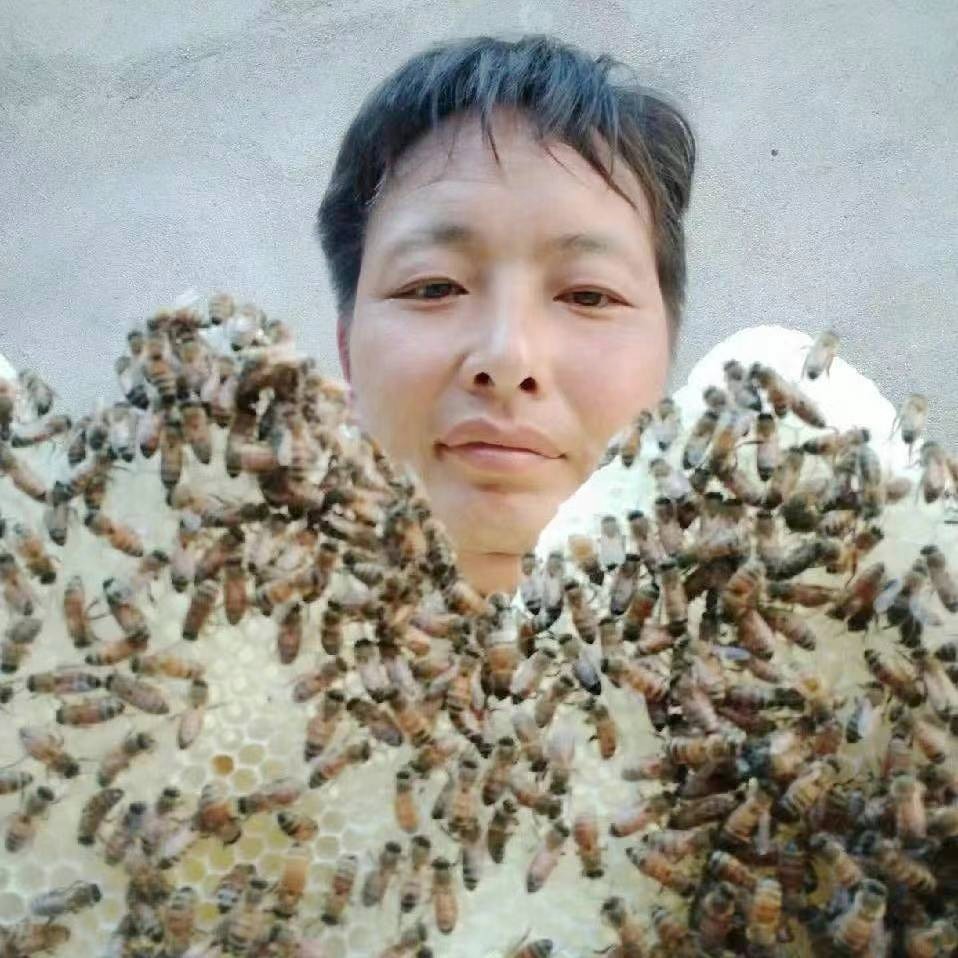 周大蜜蜂养殖场