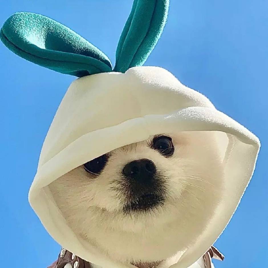 早亿点睡