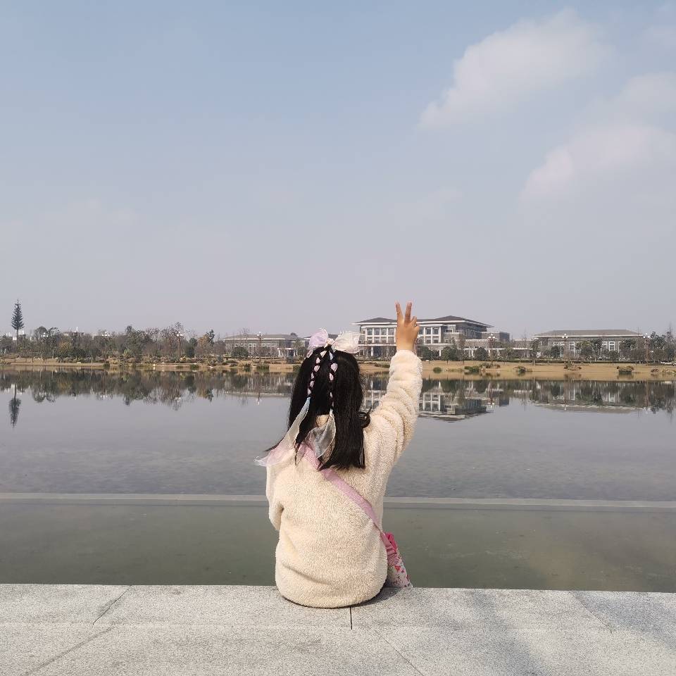 毛毛象