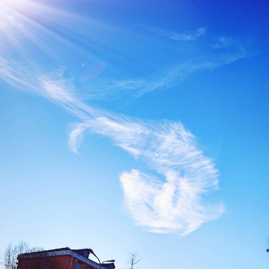 锋调雨顺@18515506670