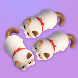 喵跑了