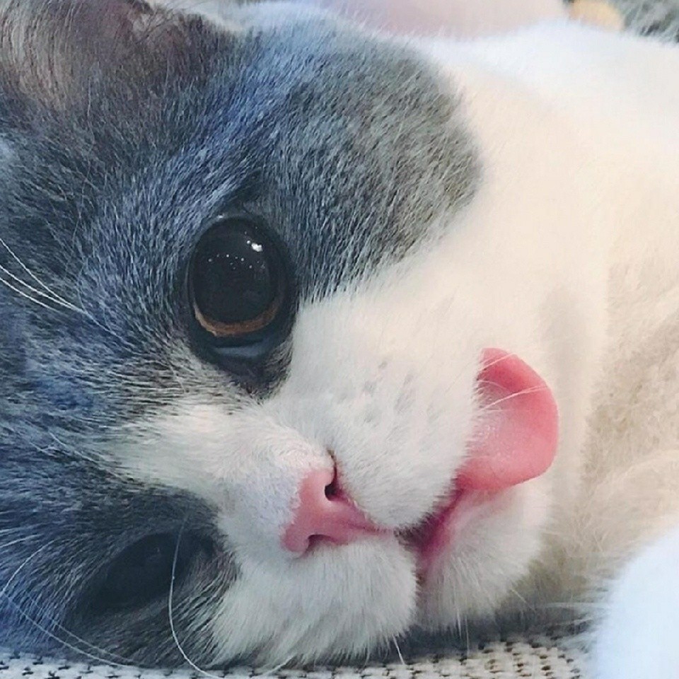 小夜