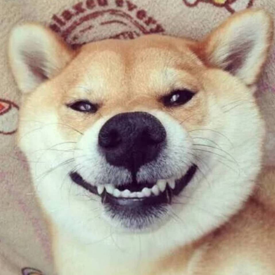 张彬