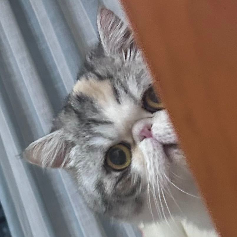 越
