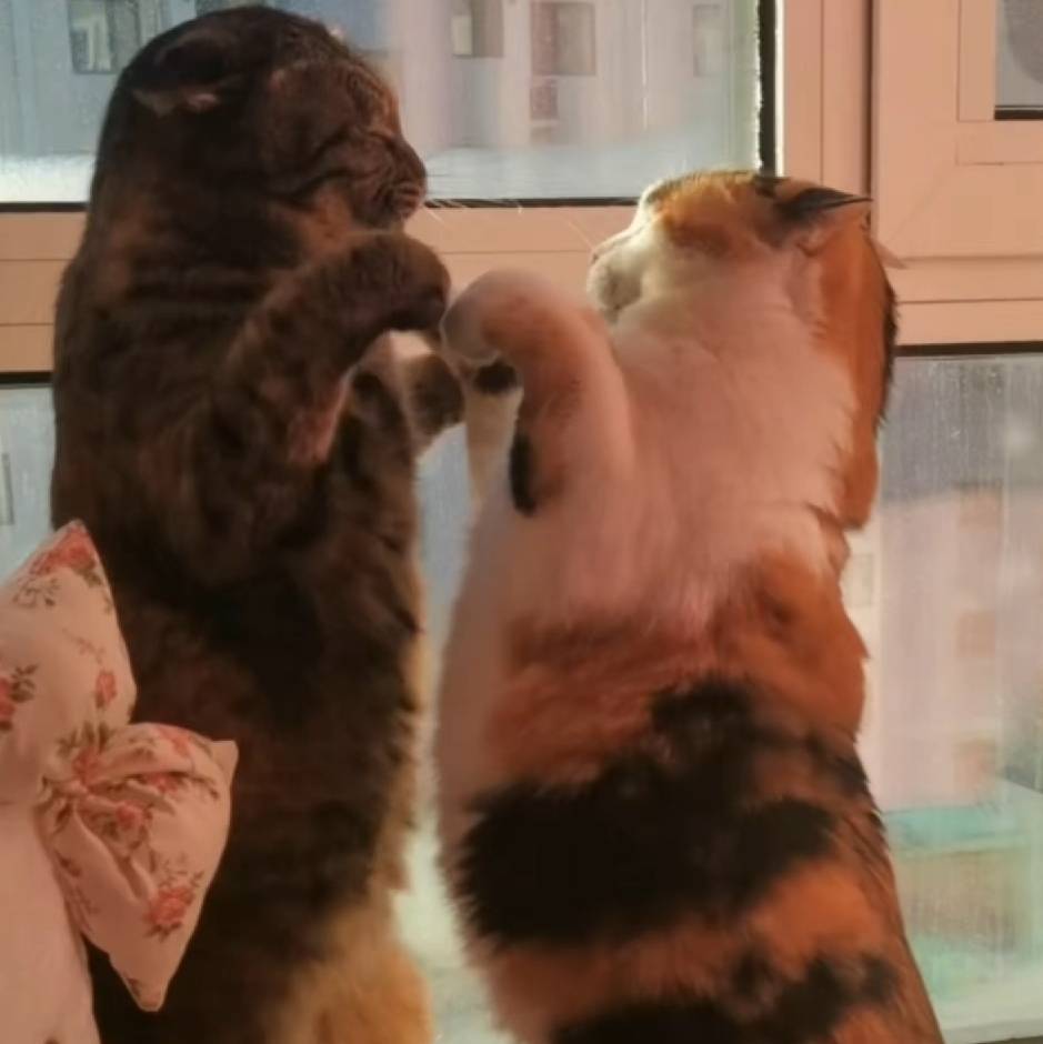 卍