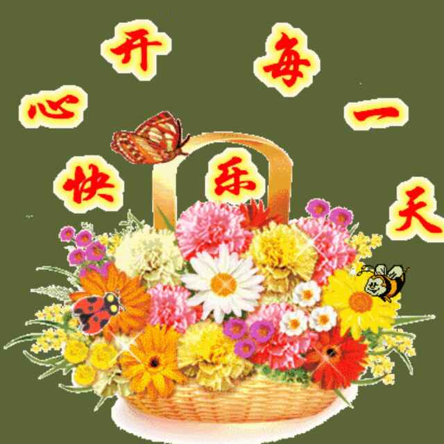 王庄后立通驾校