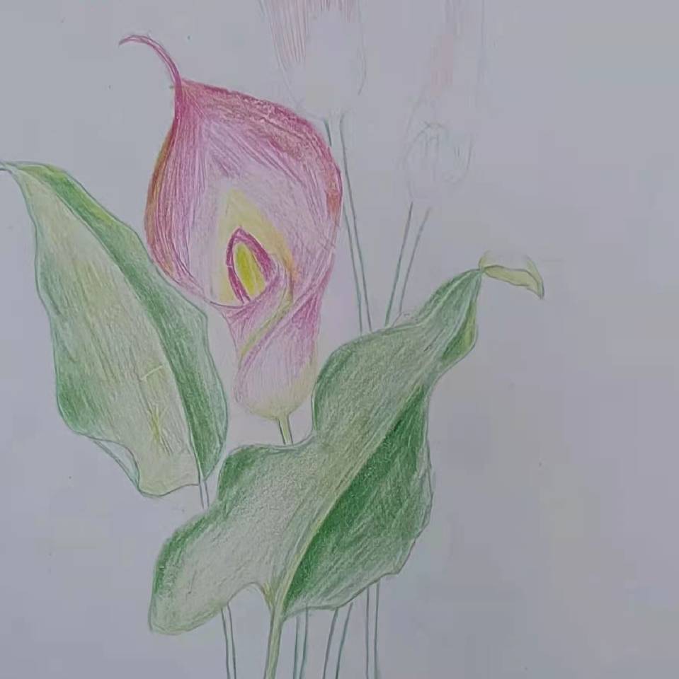 呵呵呵