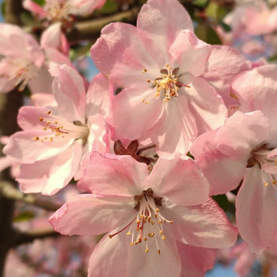 凯丰 吴芸