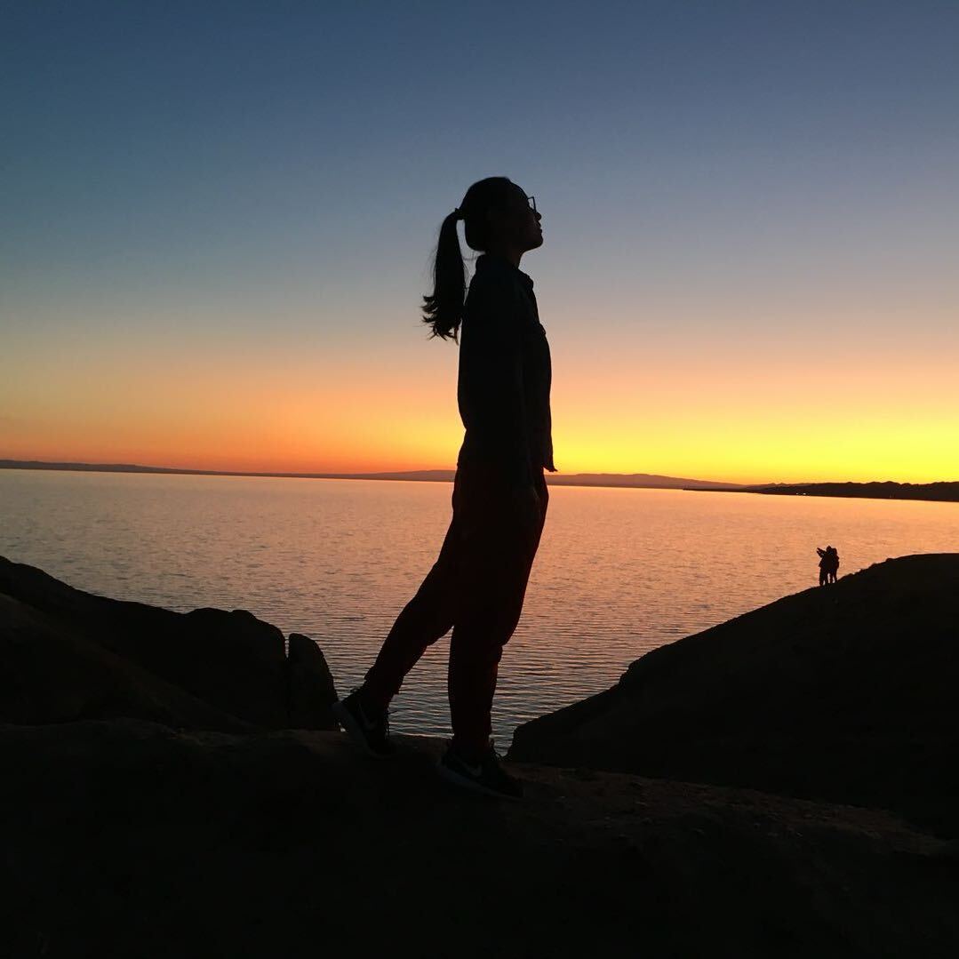 努力划水的曹小鸭