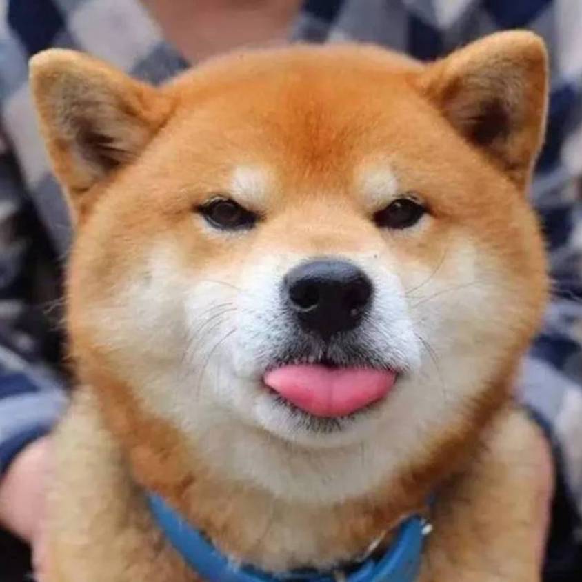 心如止水