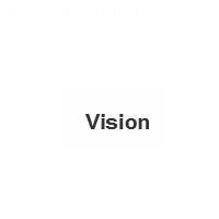 Vision