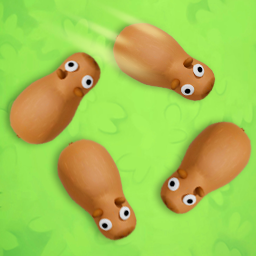 成都木熊科技有限公司