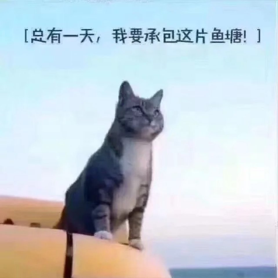 暖阳