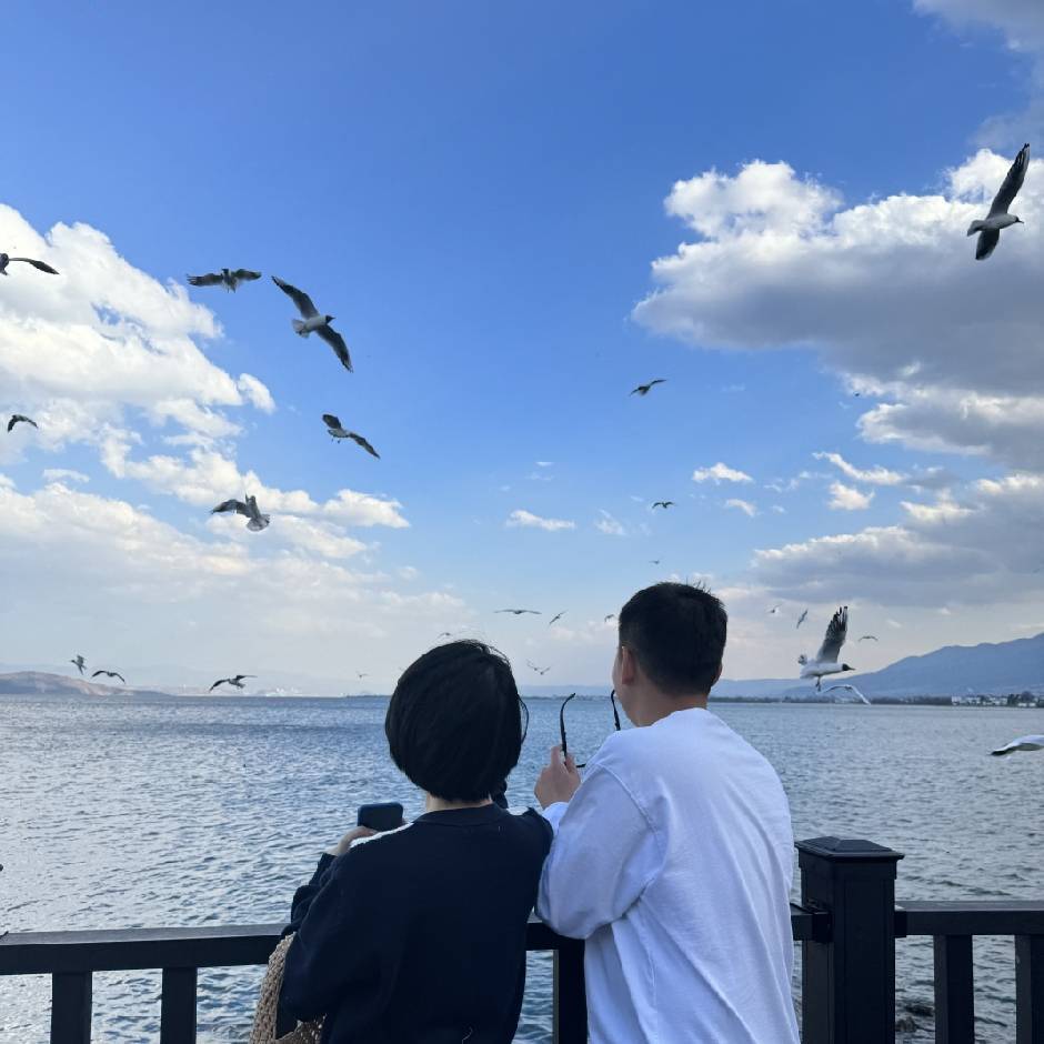 椰子树🌴