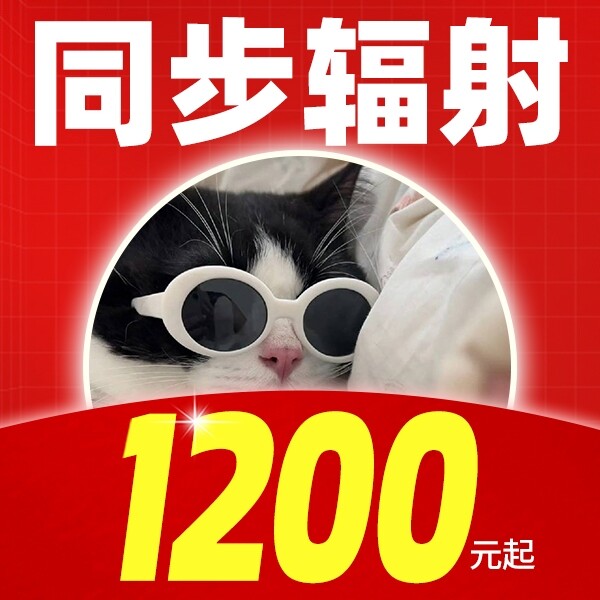 华算-朱工「同步辐射1200元起」