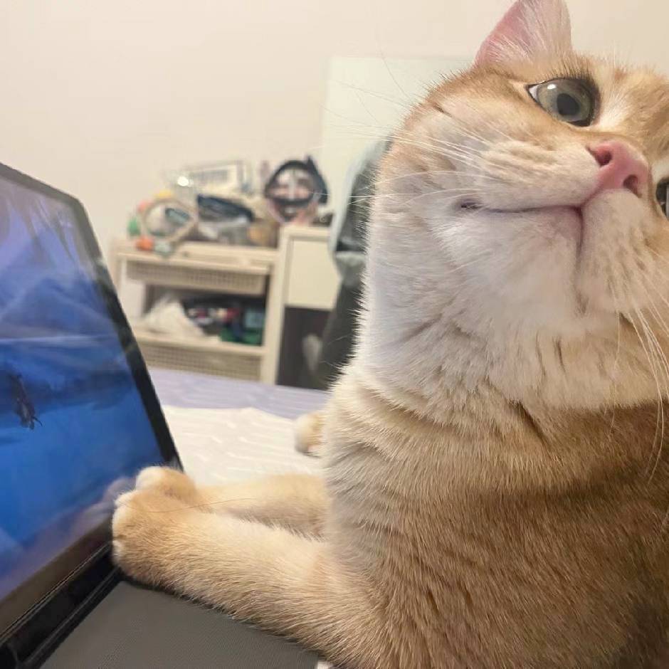 zZ