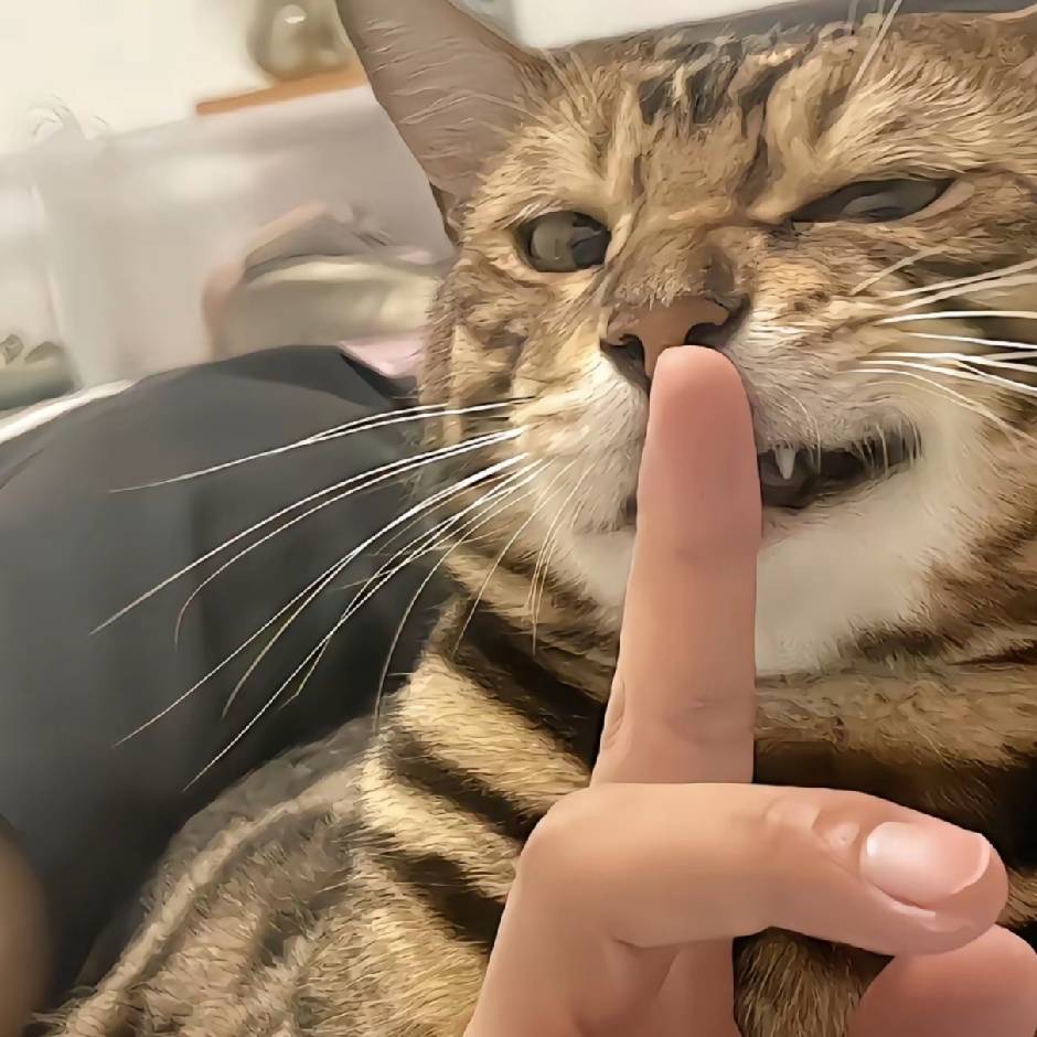 。。。