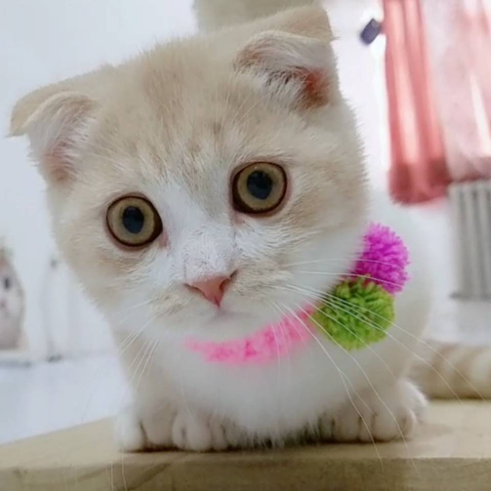 泱溟