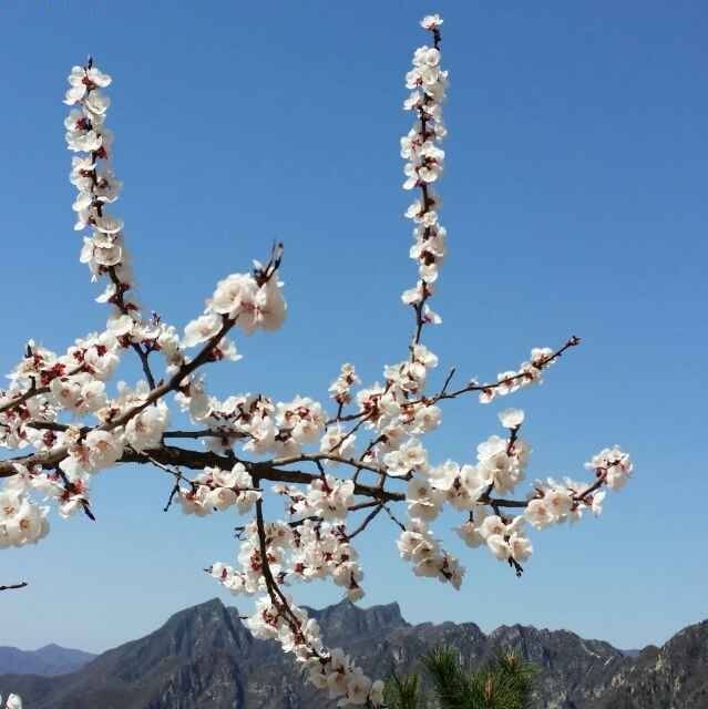 习近平在厦门