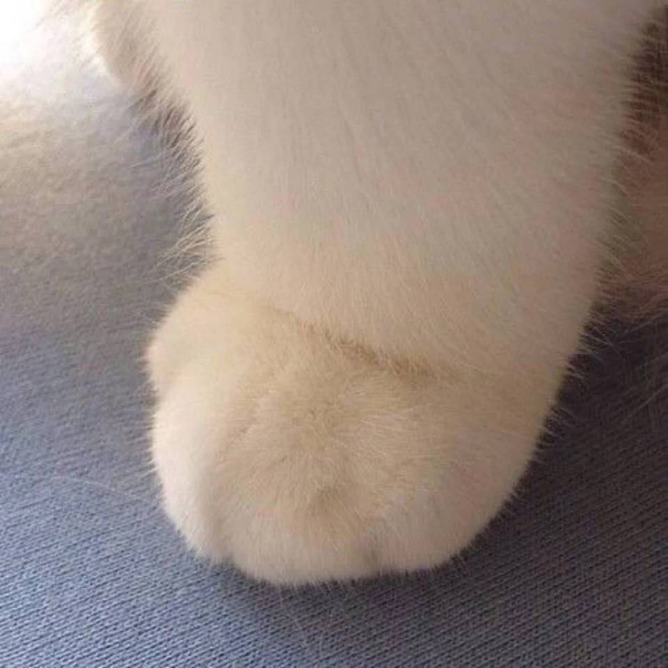 +