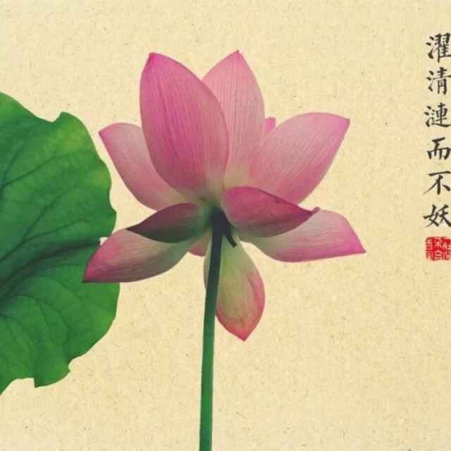 用戶頭像
