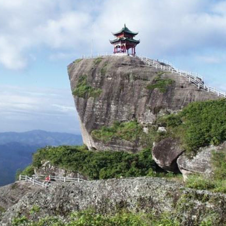 霍山石斛基地直供