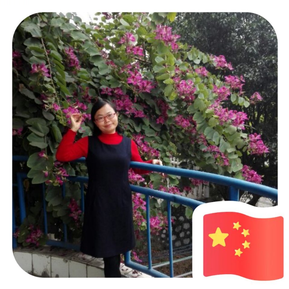 自律修炼手册