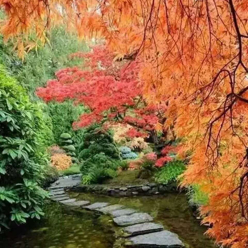 用戶頭像