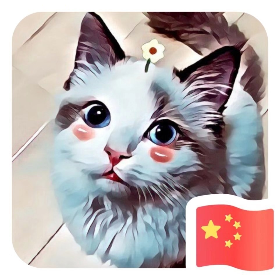 布布