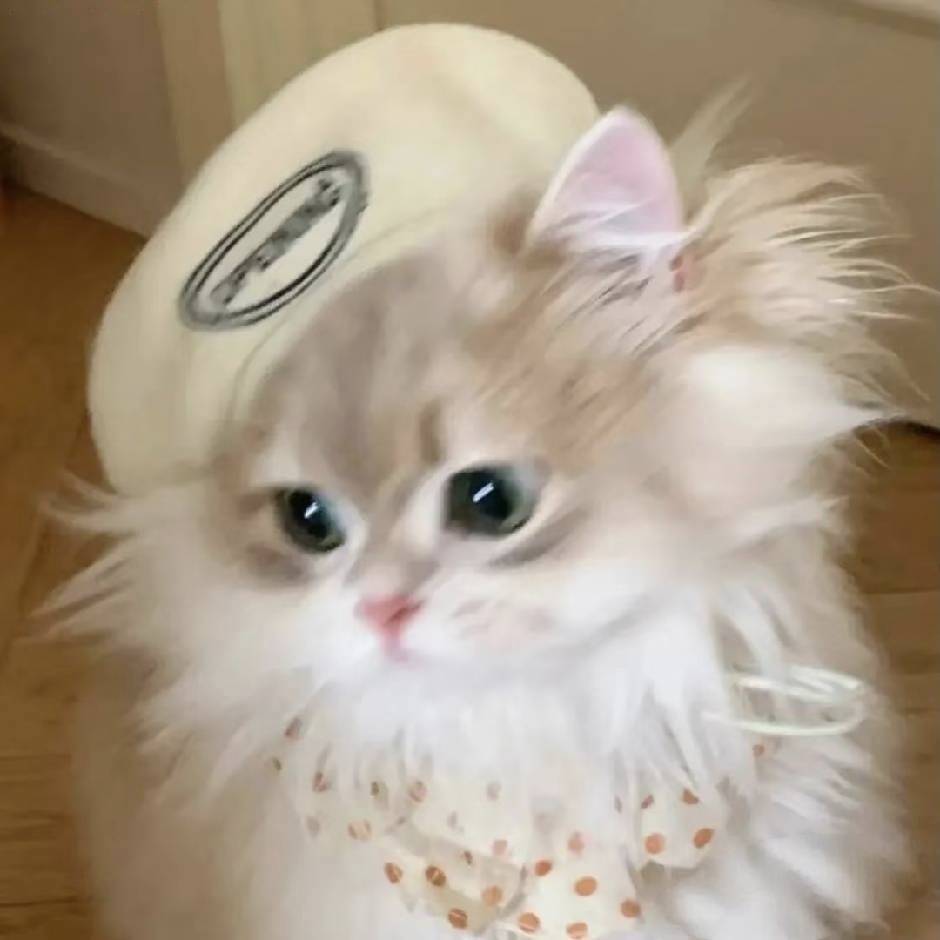小歪_