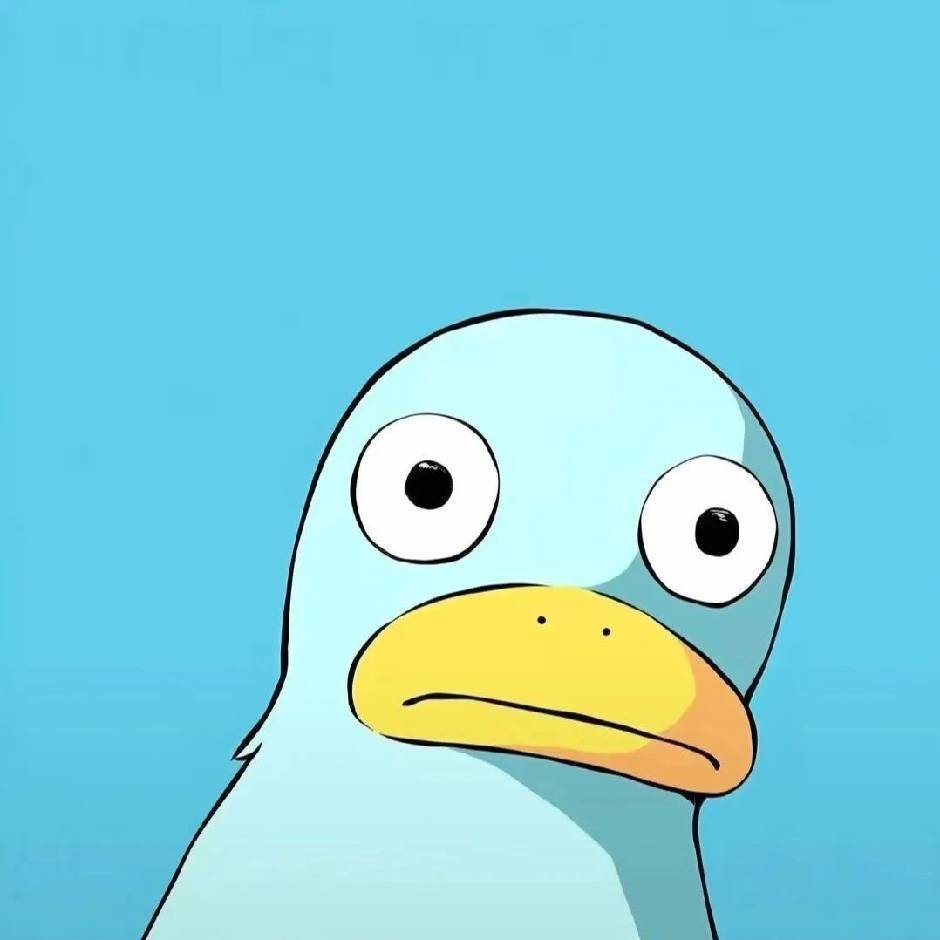 赵自浩