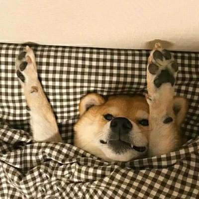 用戶頭像