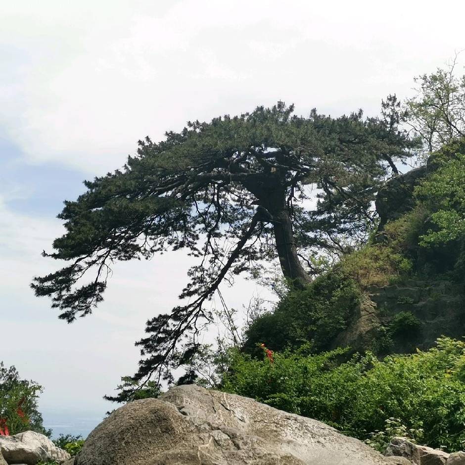 高山流水