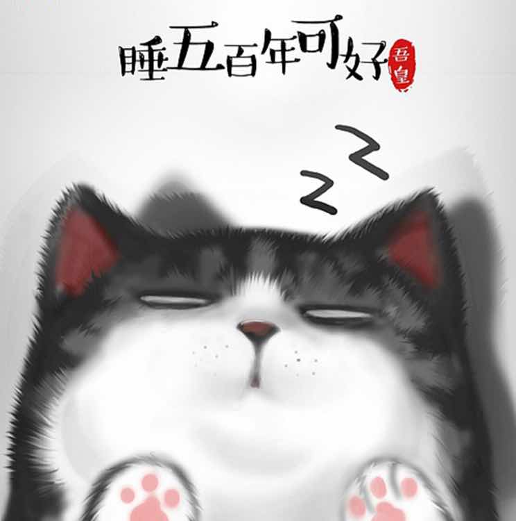 猫猫