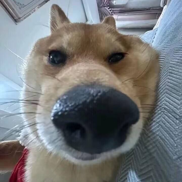 .
