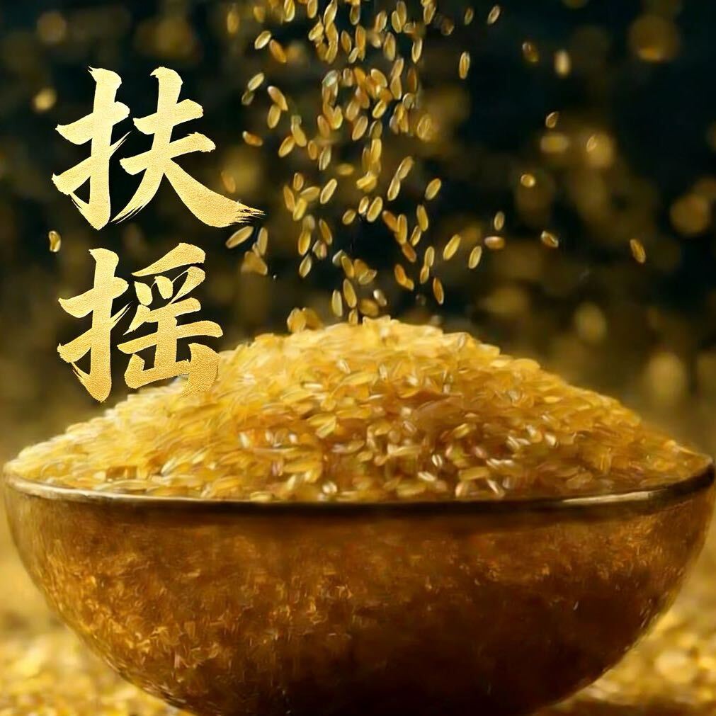张云博（云鼎产业投资）