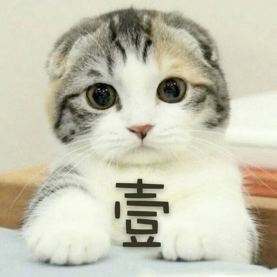猫一