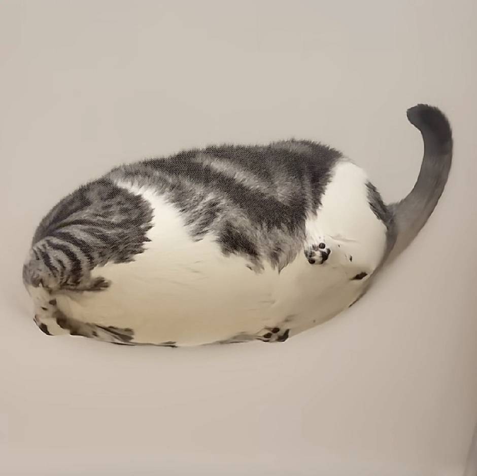 Ming
