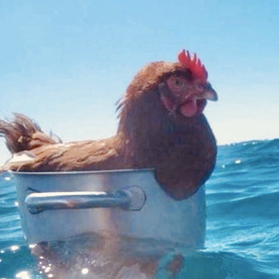 🐔盐焗打字鸡🐓