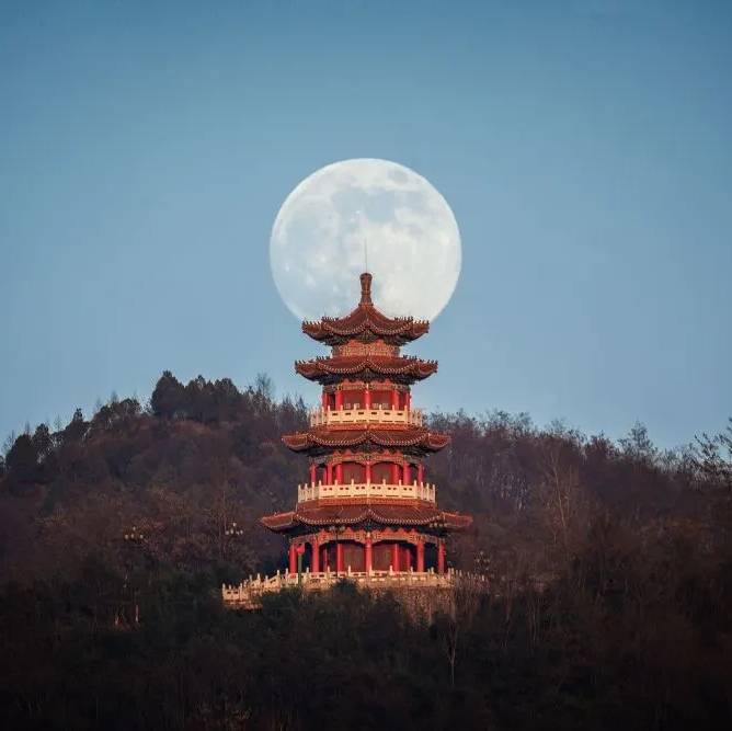 打板学徒