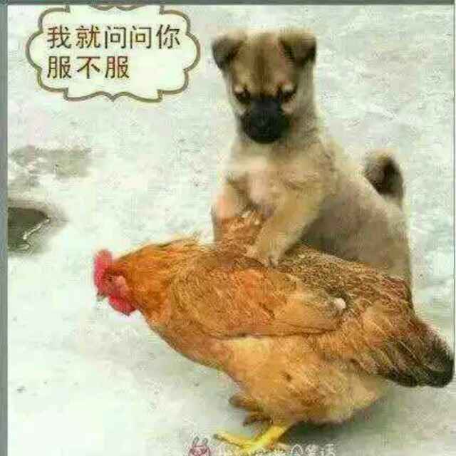 我曾用心来爱着你