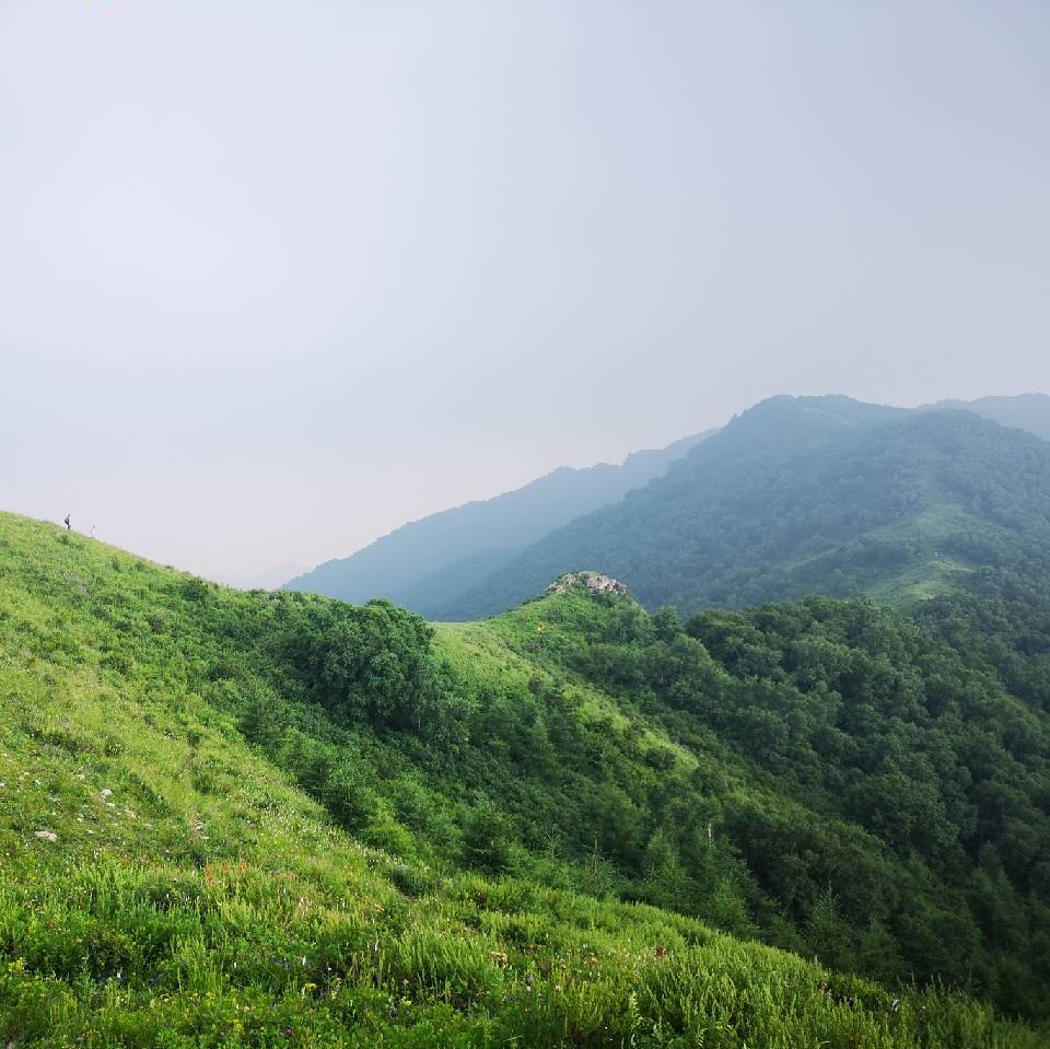 成吉思汗：意志征服世界