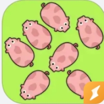 小猪消除